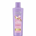 Andrélon Extra Glans Shampoo 250 ml