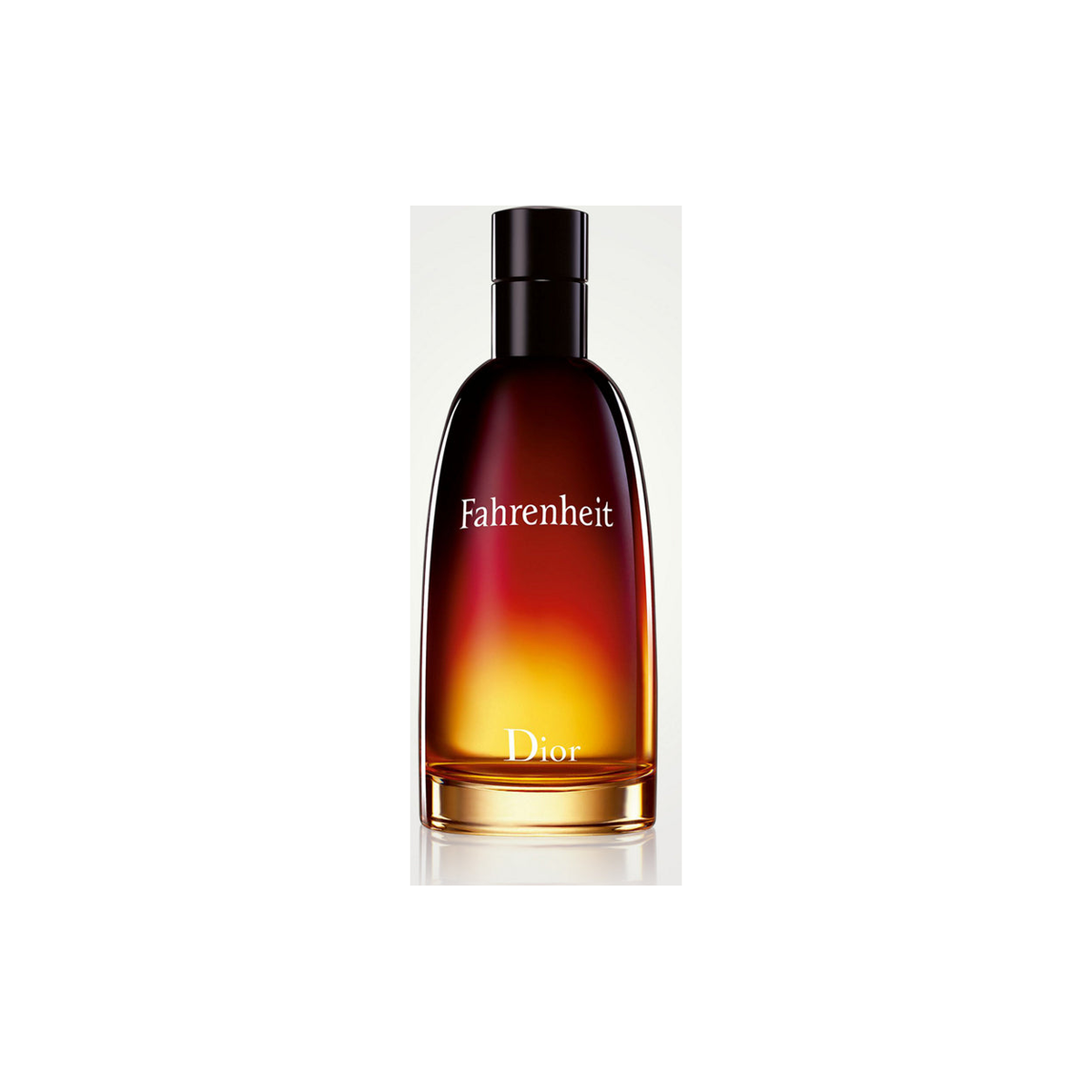 Dior Fahrenheit Eau de Toilette 100 ml - fles