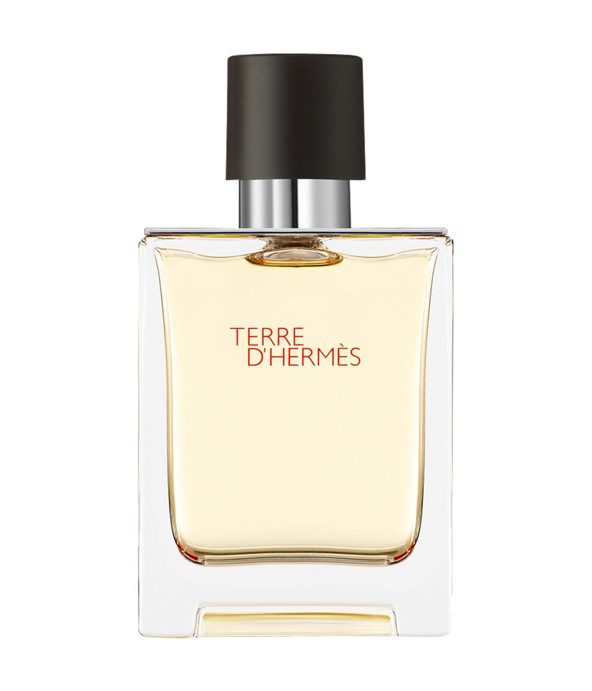 Hermès Terre d’Hermès EDT 50 ml flacon