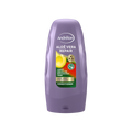 Andrélon Aloe Vera Repair Conditioner 250 ml