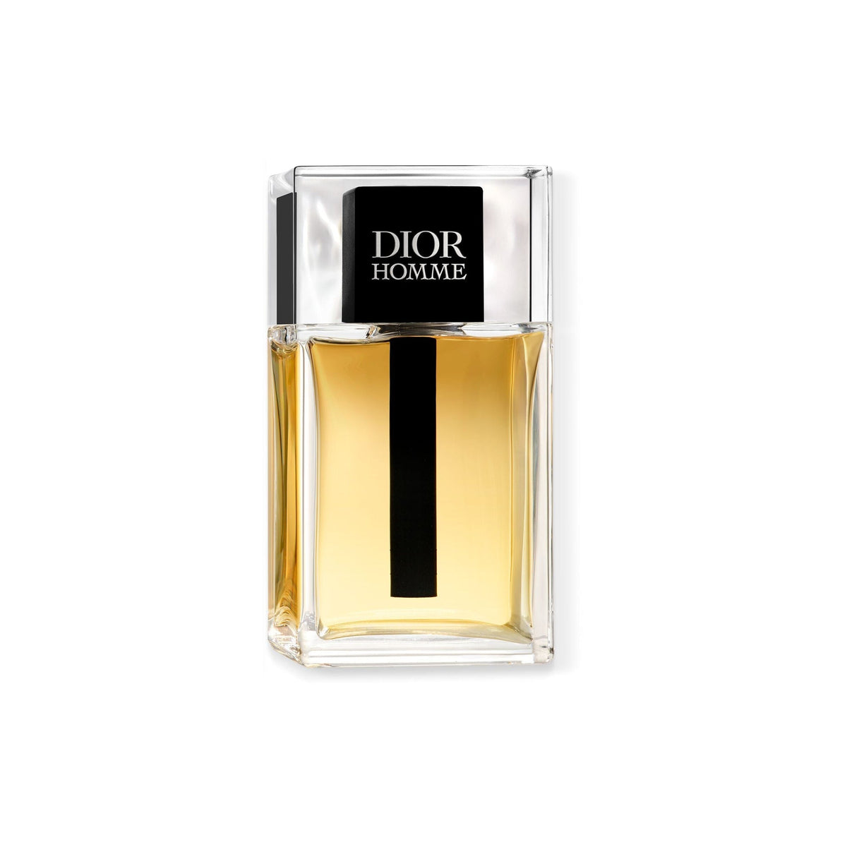 Dior Homme Eau de Toilette 100 ml – volledige flacon op witte achtergrond, EAN 3348901419147